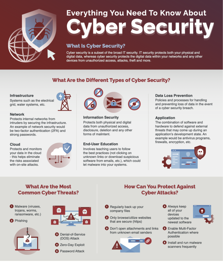 Everything You Need To Know About Cyber Security [infographic